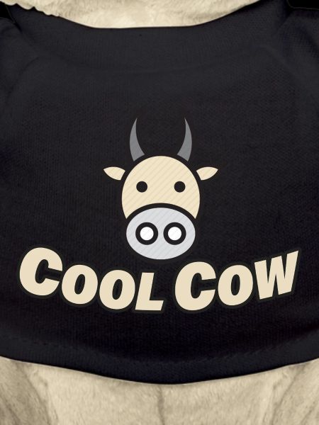 COOL COW