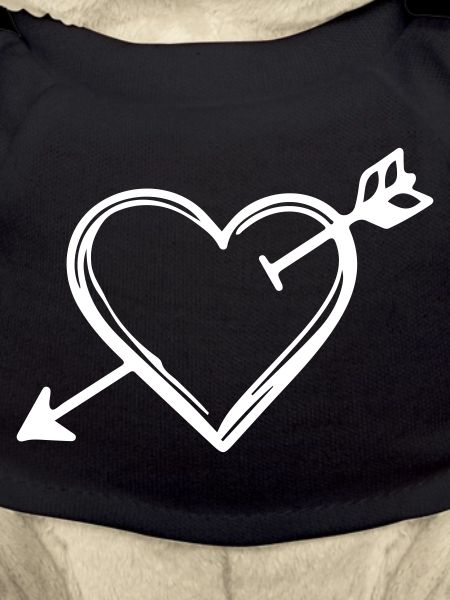 Heart Arrow Icon
