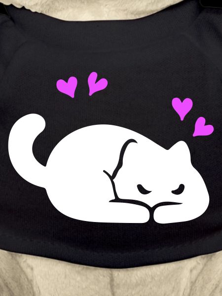 Katze Liebe