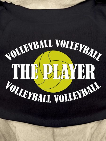 VOLLEYBALL-THE PLAYER