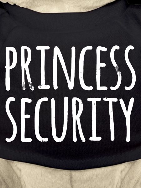 Princess Security Typography
