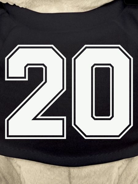 20-