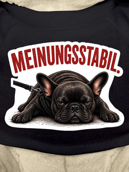 Frenchie – Meinungsstabil Bully