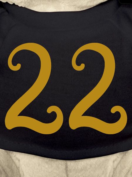 22