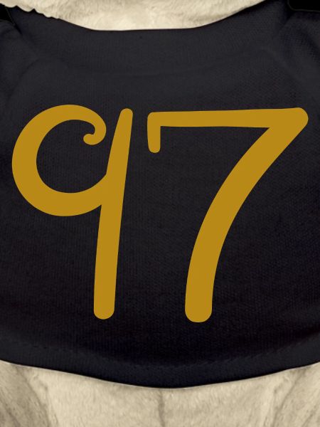97