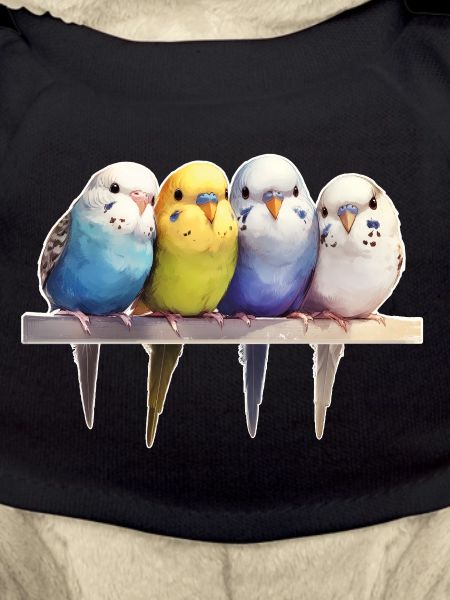 Groupe de perruches ondulées
