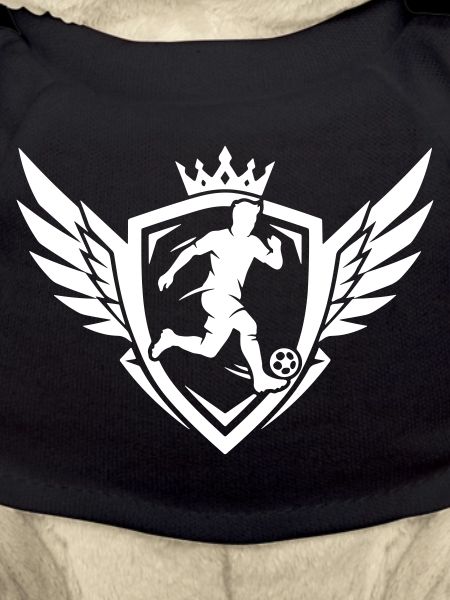 Blason du footballeur