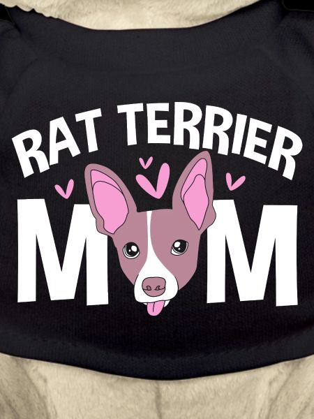 Rat Terrier