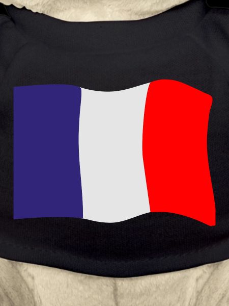 France flag