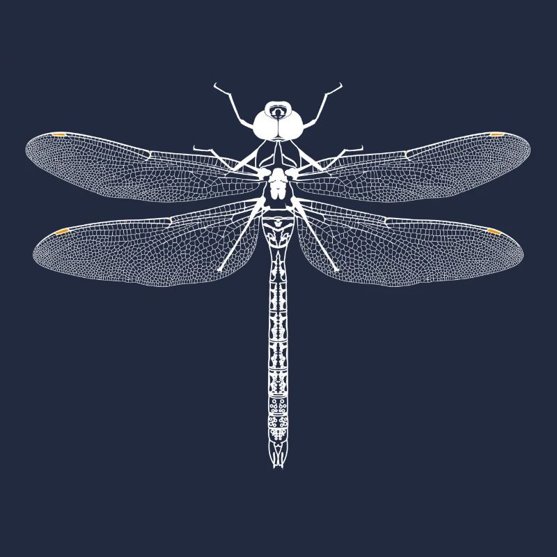 Libelle Weiss