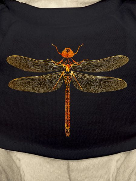 dragonflies