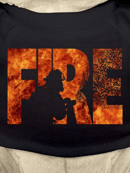 Firefighter