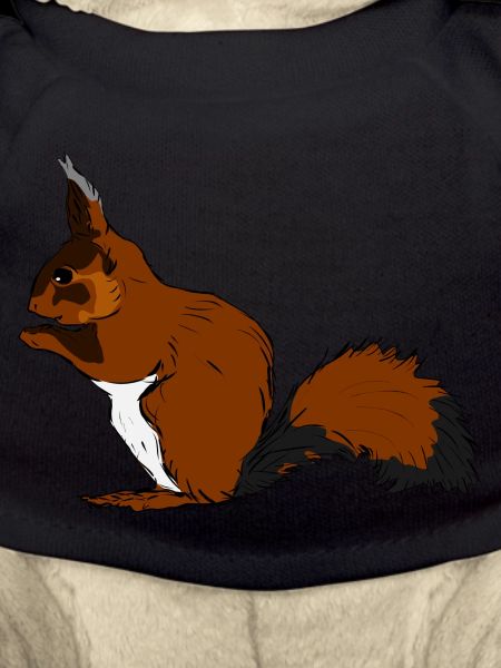 squirrel28