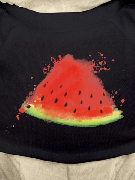 Melone - Wassermelone