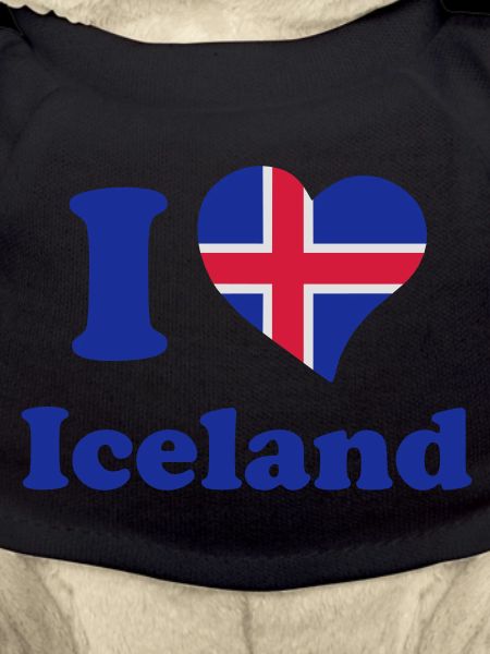 I love Iceland