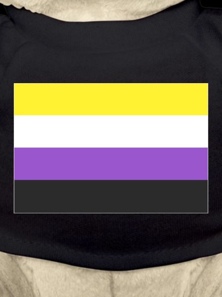 Non-binary Flagge