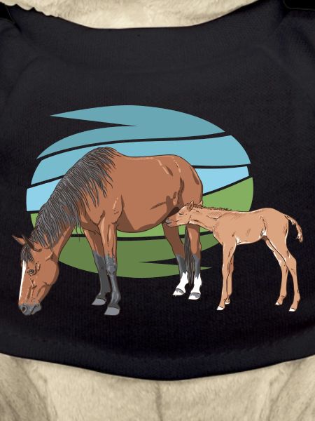 Mare and Foal