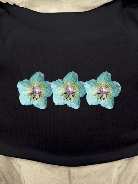 Wildblumen türkis