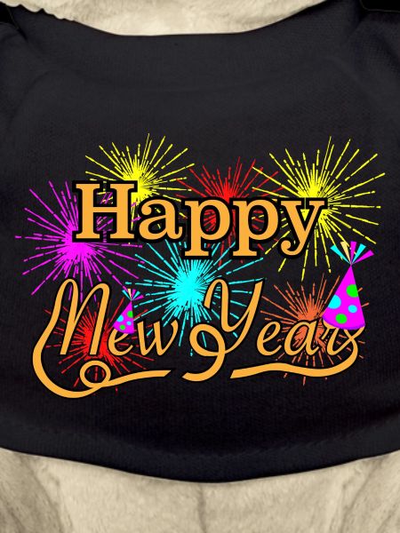 Happy New Year 2020 Silvester