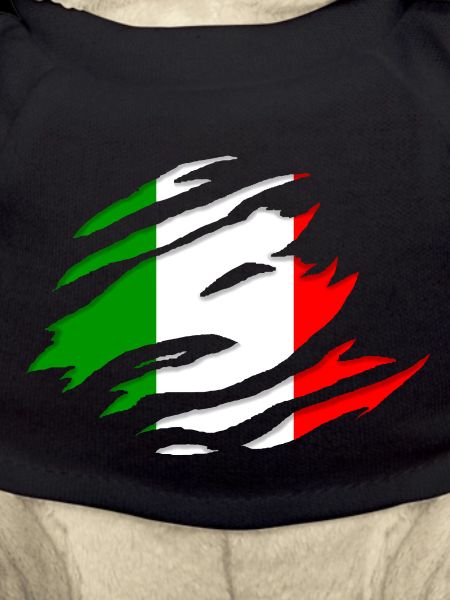 Italy flag