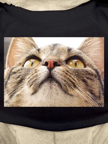 Minka cat face