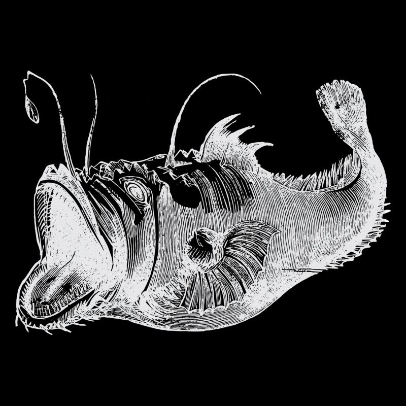 Poisson profond blanc
