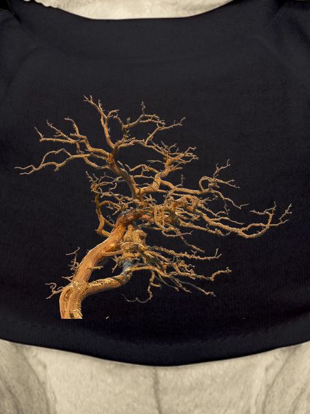 Baum