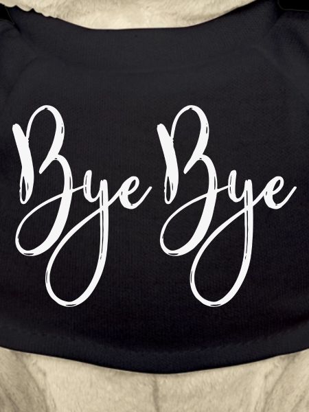 Bye Bye