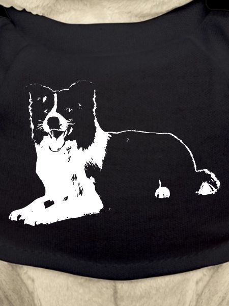 border collie
