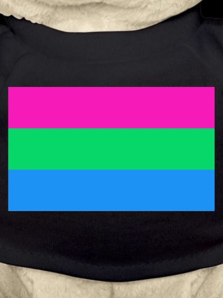 LGBT Polysexual