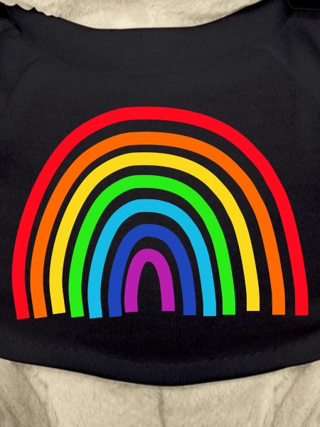 Regenbogen bunt