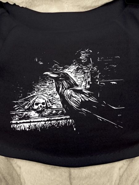 Raven with skull