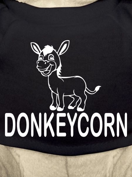 Donkey Esel