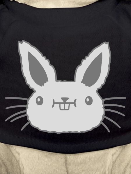 Small kawaii rabbit face