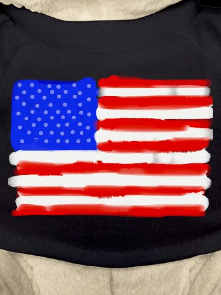 Painted American Flag