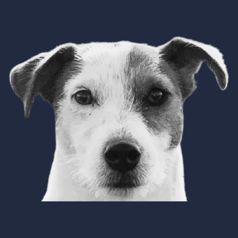 Jack Russel