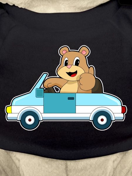 Bear Car
