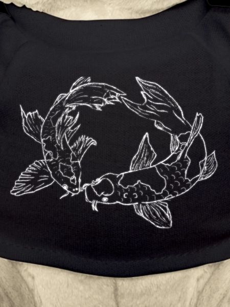 Koi