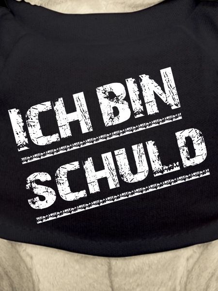 Ich bin schuld