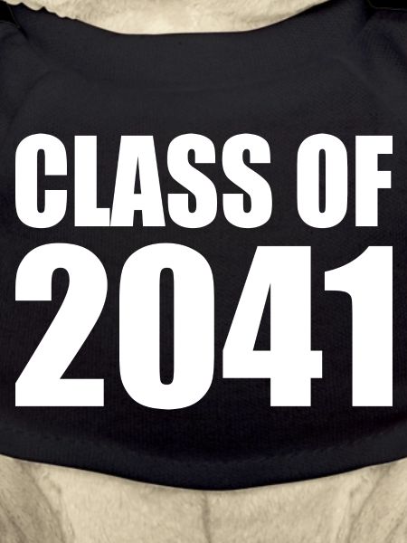 Class of 2041