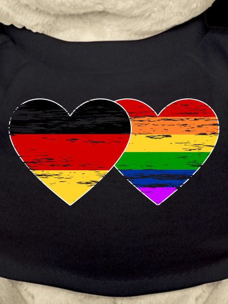 Germany rainbow flag used