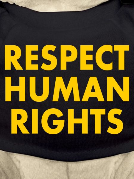 Respect human rights