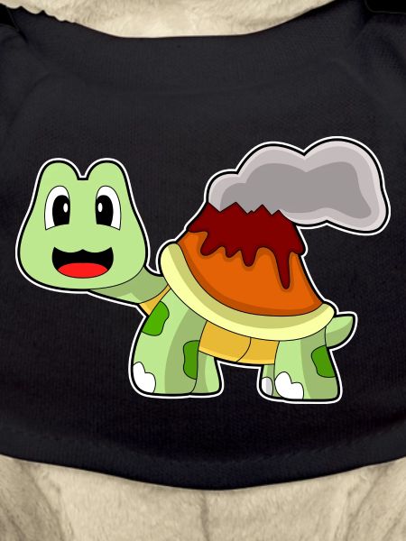 Turtle Volcano