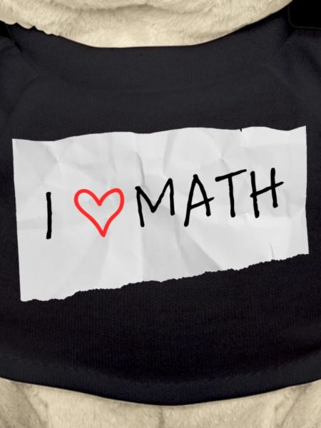 I love math