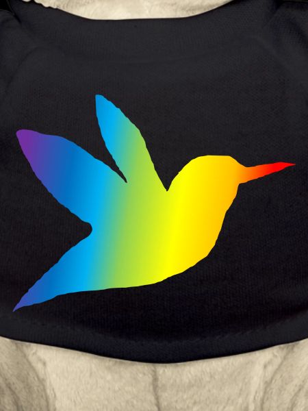 Kolibri bunt