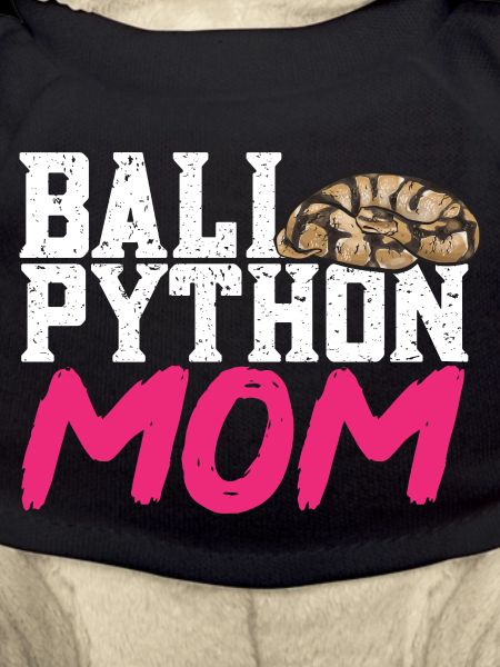 Ball Python Snake King Python