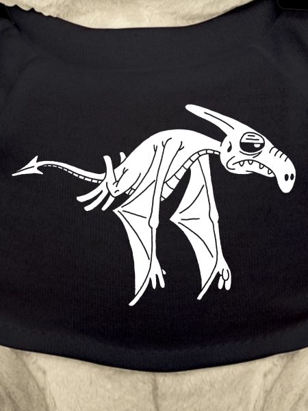 White Flying Dinosaur