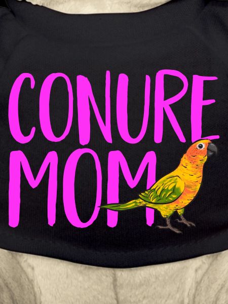 Parakeet, Parrot, Parakeet, Bird