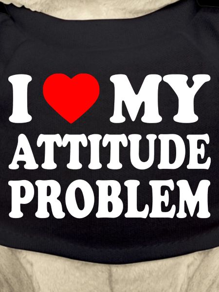 i love my attitude problem