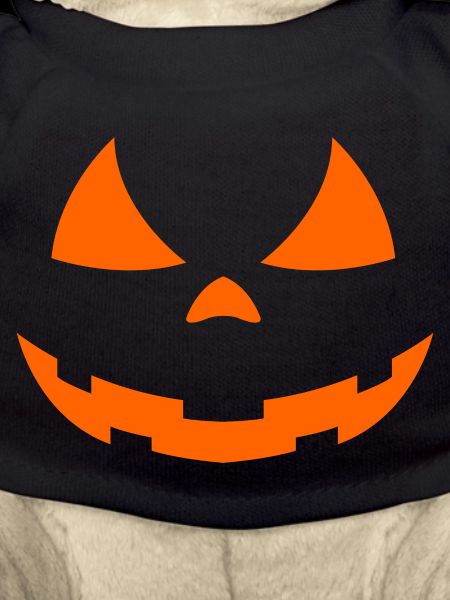 Pumpkin Halloween Face